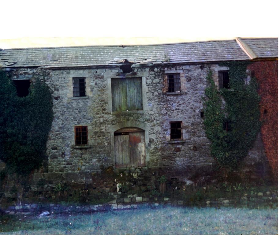 Fort House Bed & Breakfast Kilbeggan Kültér fotó